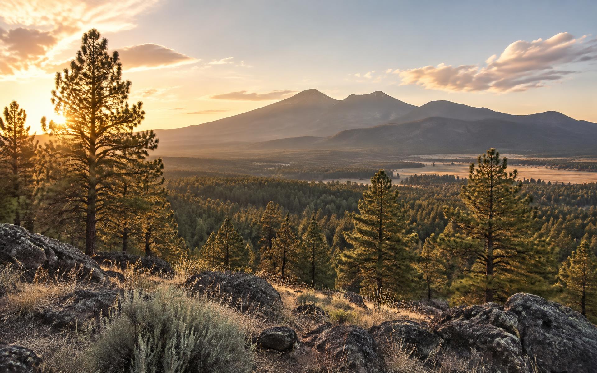 The San Francisco Peaks rising above the ponderosa pine forest near Flagstaff, Arizona at sunrise